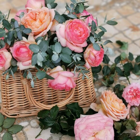 Natural Handwoven Wicker Handbag, Rectangular Basket Purse, Women Straw Tote Rec - Picture 5 of 5